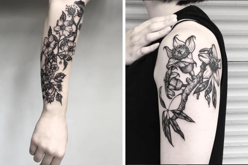 Estilos: Botanicos
